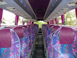 Buss 3